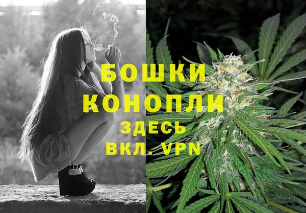 2c-b Горнозаводск