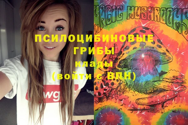 марки lsd Горняк