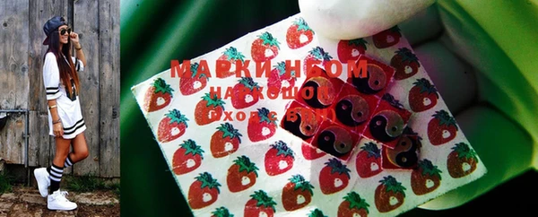 крисы Горно-Алтайск