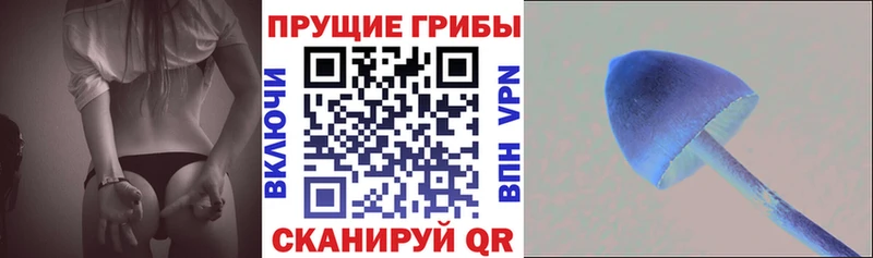 дарнет шоп  Лаишево  Псилоцибиновые грибы MAGIC MUSHROOMS 